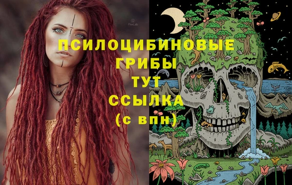 бутик Няндома