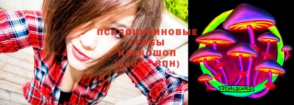 ALPHA PVP Нязепетровск